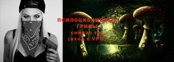 амф Абаза