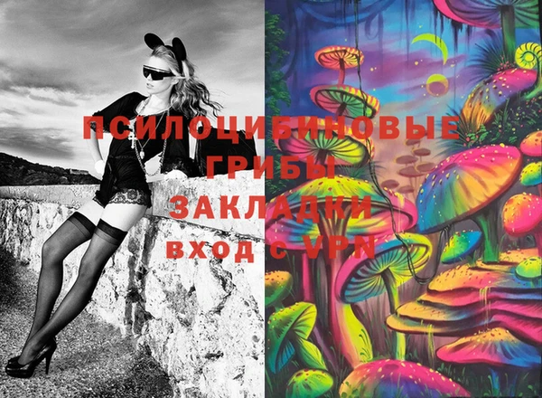 дурь Алексин