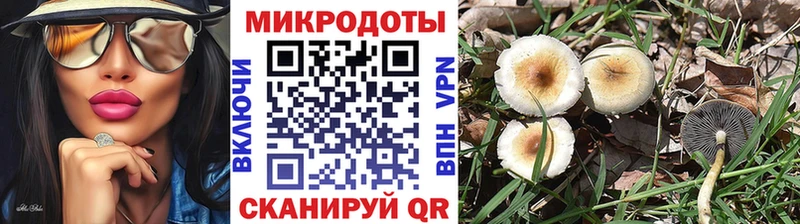 Псилоцибиновые грибы мицелий закладки Усть-Илимск